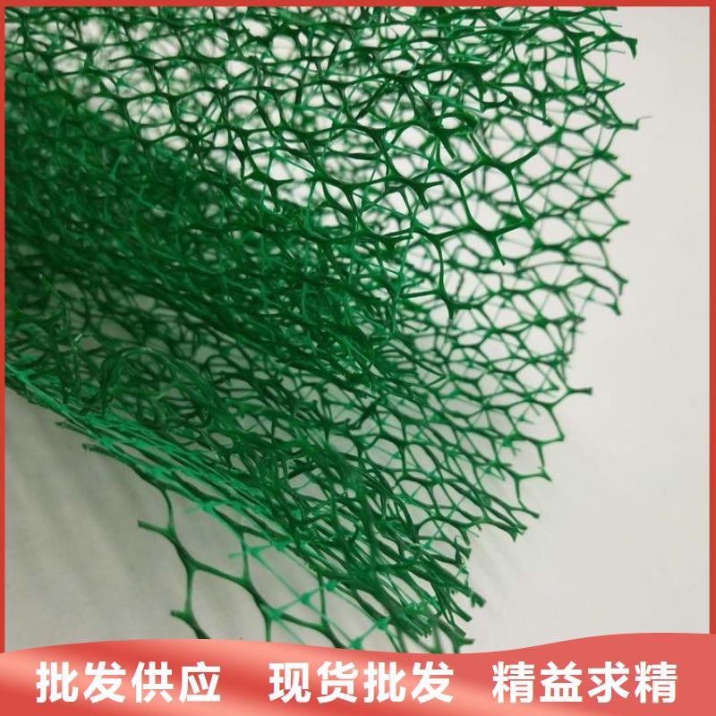 今年新款 三维植被网用好材做好产品-同城详细参数_产品案例