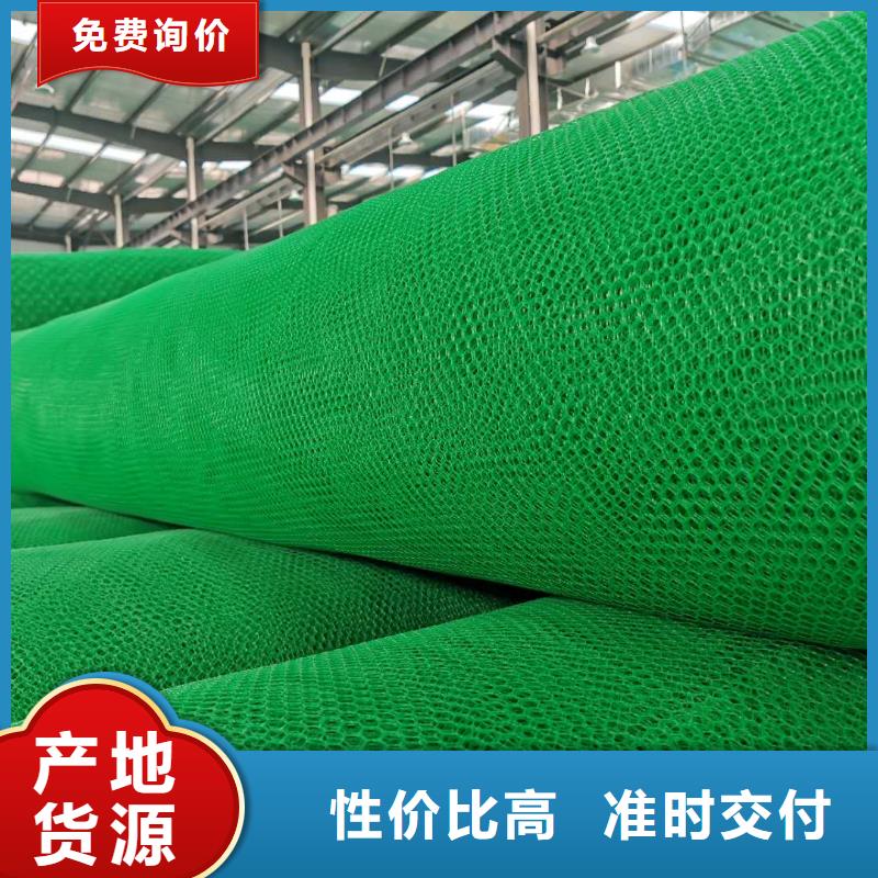 今年新款 三维植被网用好材做好产品-同城详细参数_产品案例
