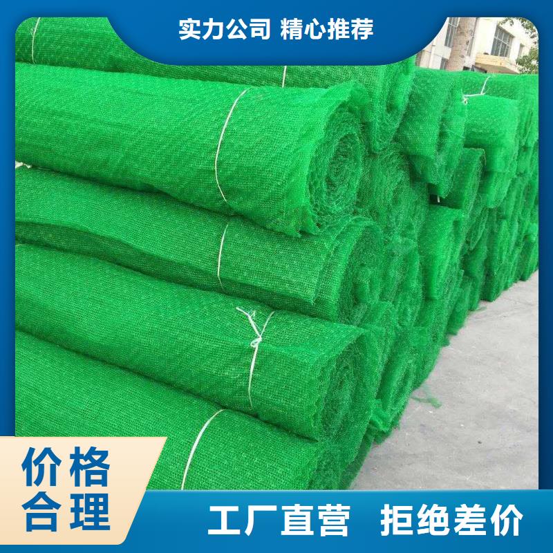 三维植被网三维土工网垫满足多种行业需求
