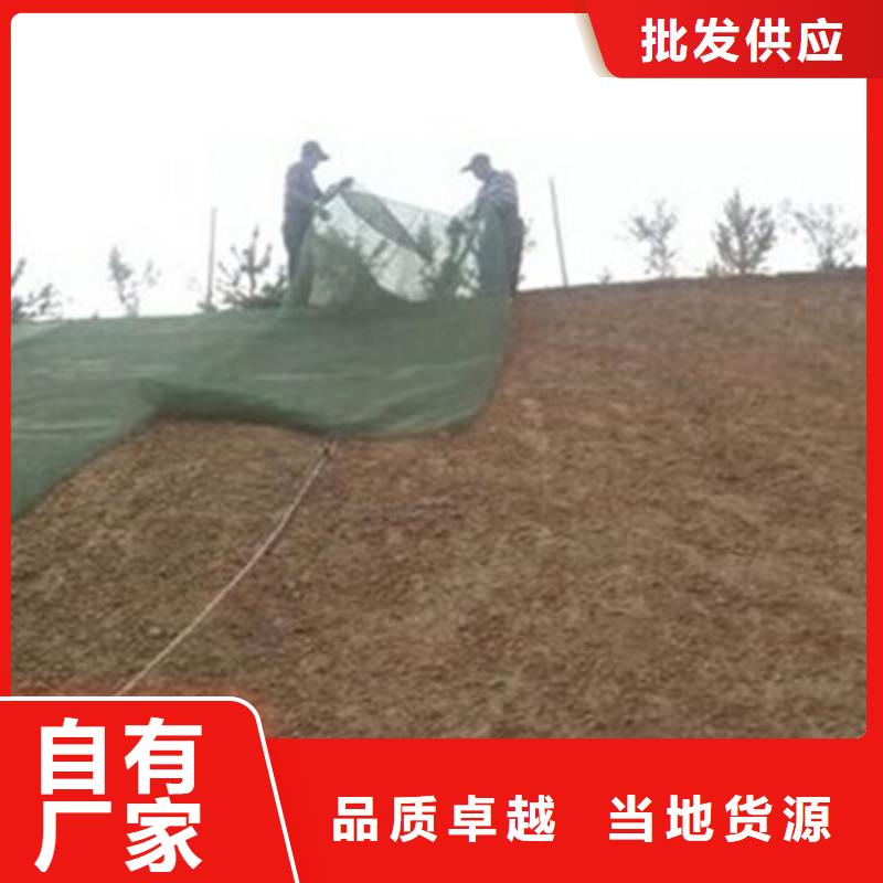 双向塑料土工格栅-视频-黑龙江省双向塑料土工格栅-黑龙江省牡丹江|齐齐哈尔|绥化|大兴安岭|佳木斯|鹤岗|哈尔滨(附近)制造商