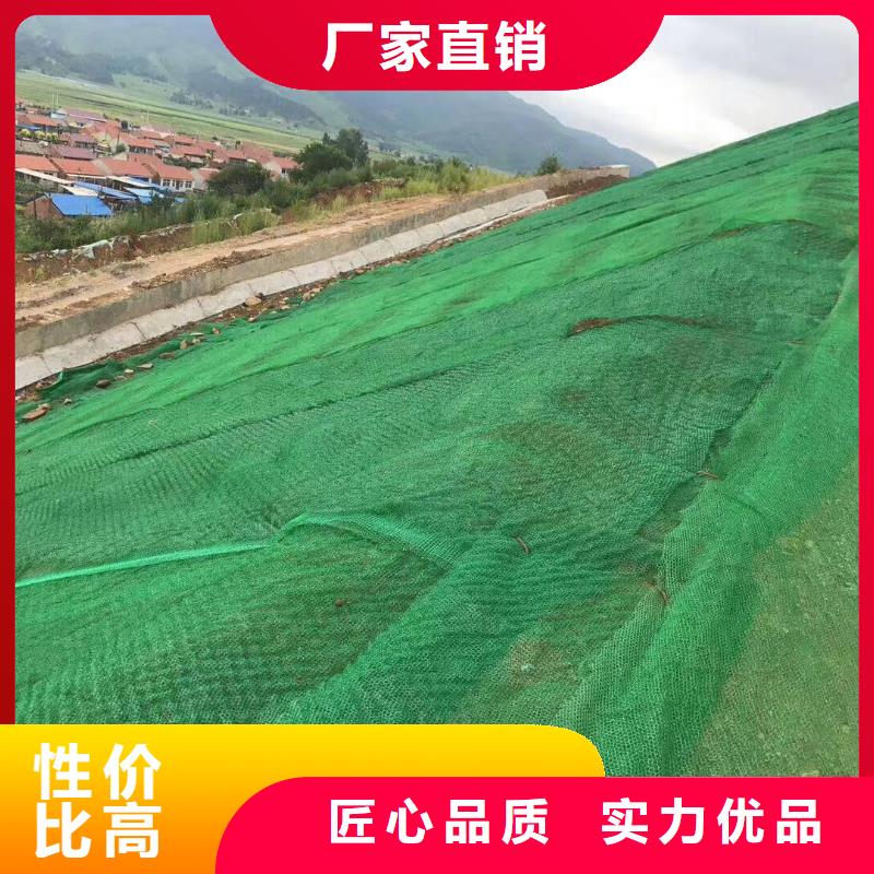 三维植被网双向塑料土工格栅厂家售后完善