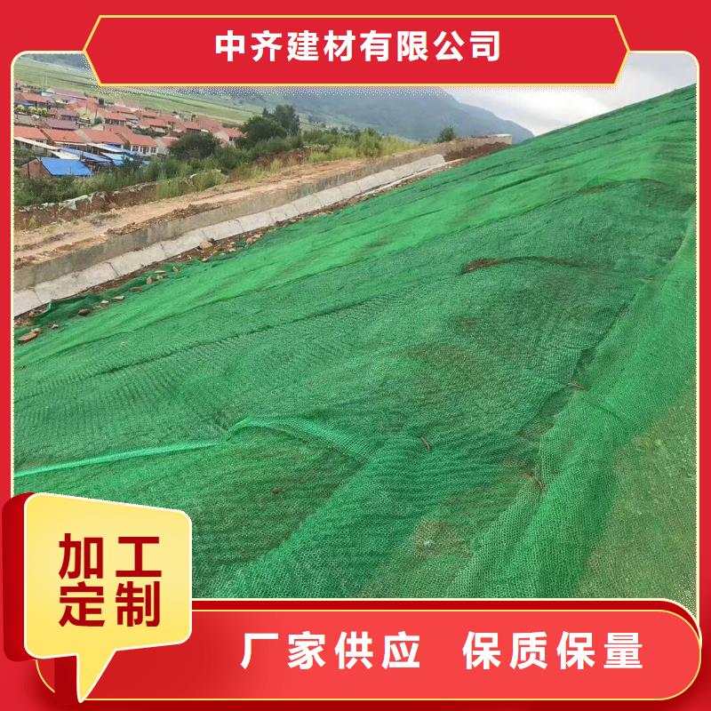 三维植被网-双向塑料格栅诚信厂家