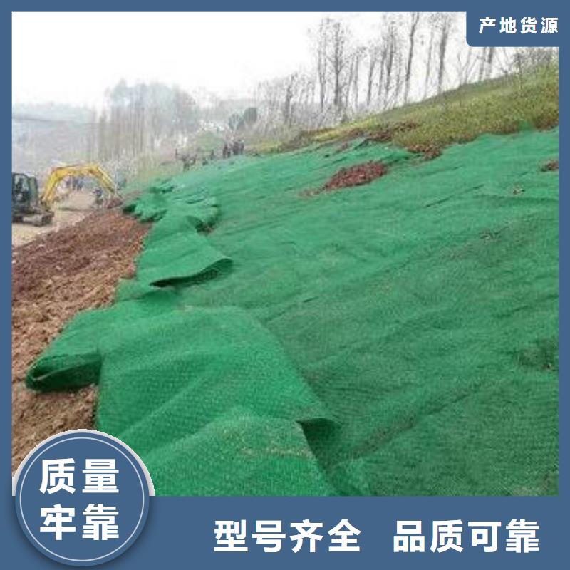 双向塑料土工格栅视频-双向塑料土工格栅-河北省邯郸市周边生产商-成安|磁县|衡水|邢台|沧州|廊坊|石家庄