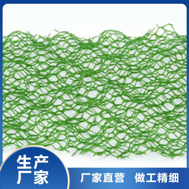 三维植被网单向塑料格栅工程施工案例