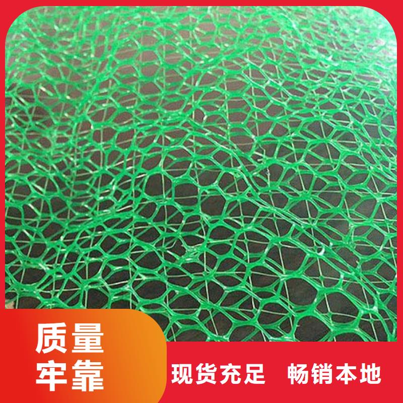 双向塑料土工格栅-视频-黑龙江省双向塑料土工格栅-黑龙江省牡丹江|齐齐哈尔|绥化|大兴安岭|佳木斯|鹤岗|哈尔滨(附近)制造商