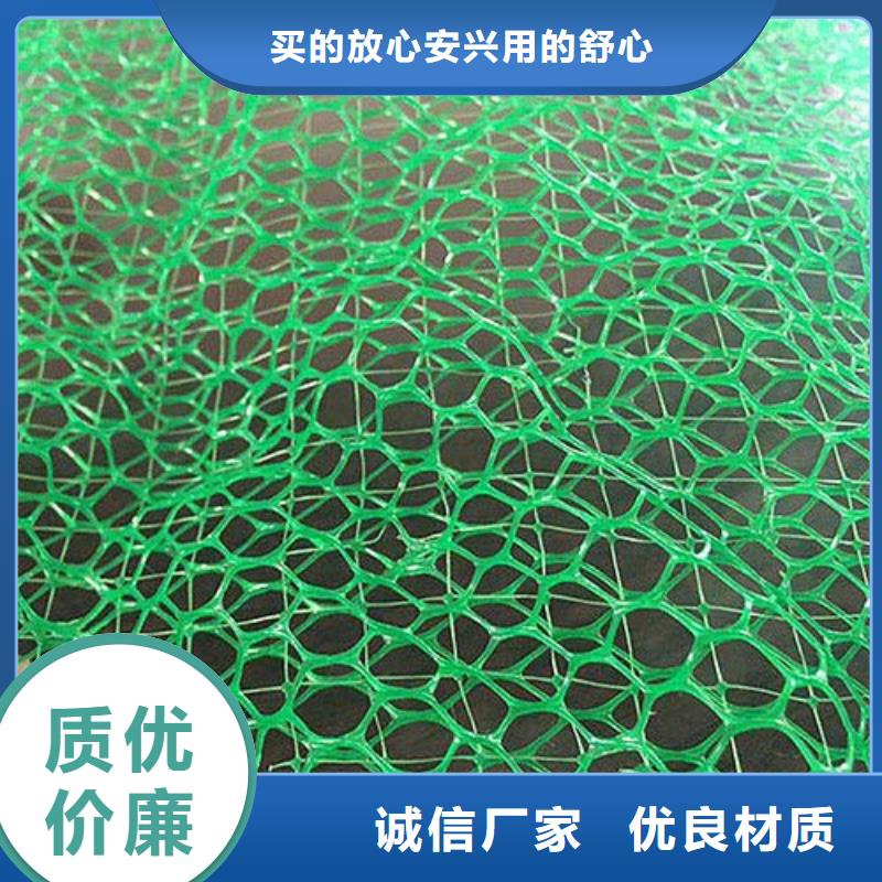 三维植被网单向塑料格栅工程施工案例