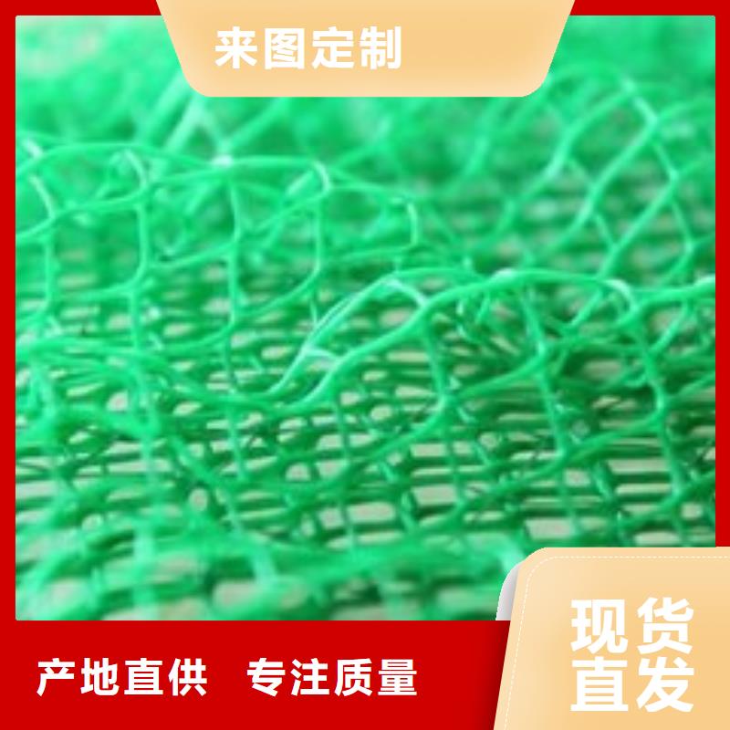 双向塑料土工格栅-视频-黑龙江省双向塑料土工格栅-黑龙江省牡丹江|齐齐哈尔|绥化|大兴安岭|佳木斯|鹤岗|哈尔滨(附近)制造商
