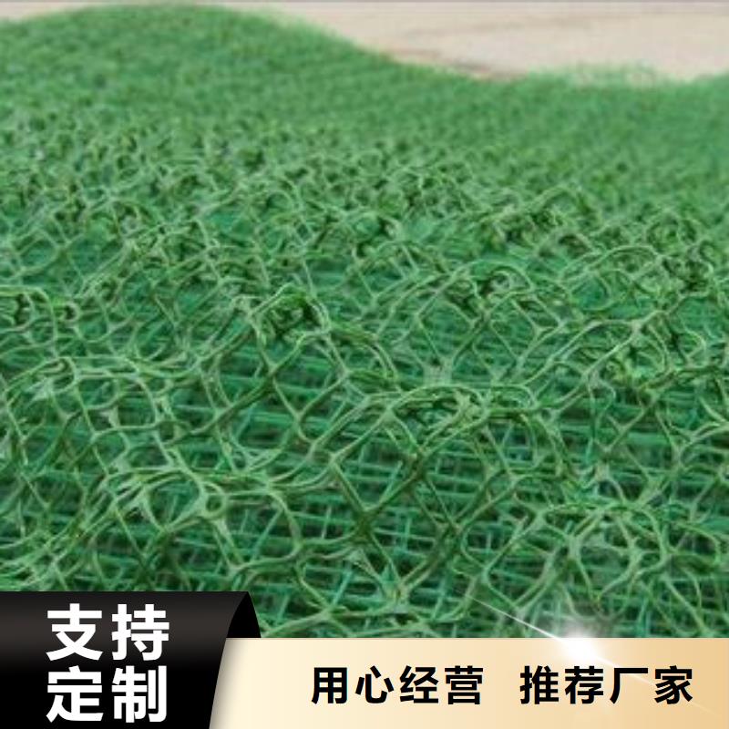 三维植被网【HDPE土工膜】48小时发货