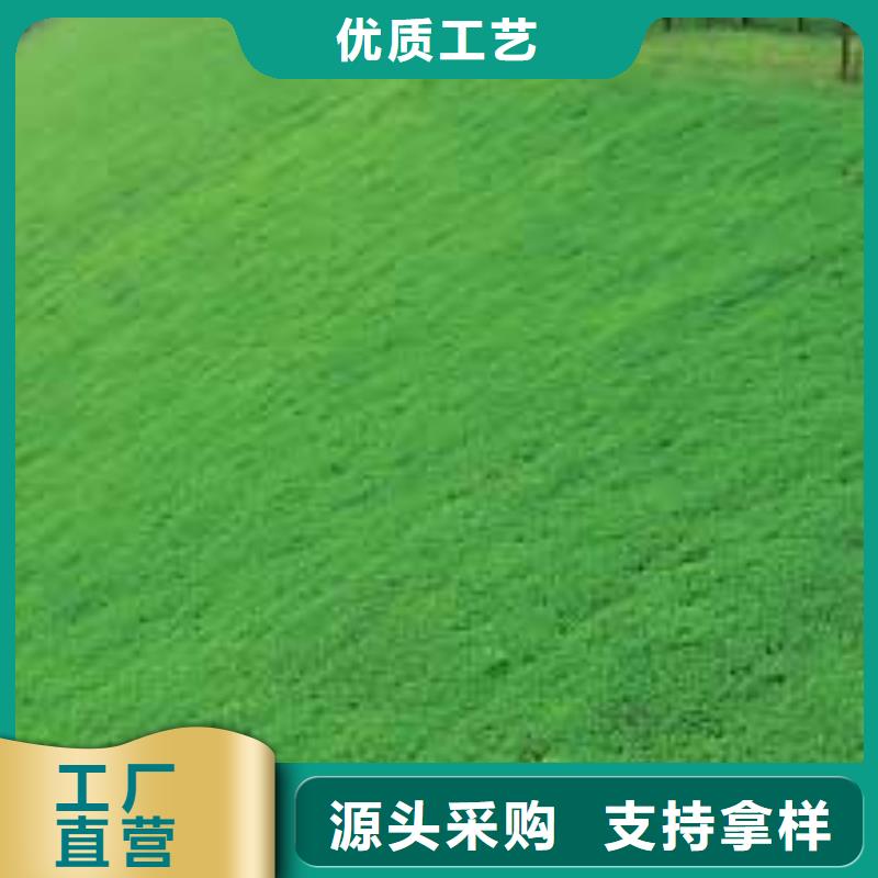 【三维植被网双向塑料格栅检验发货】