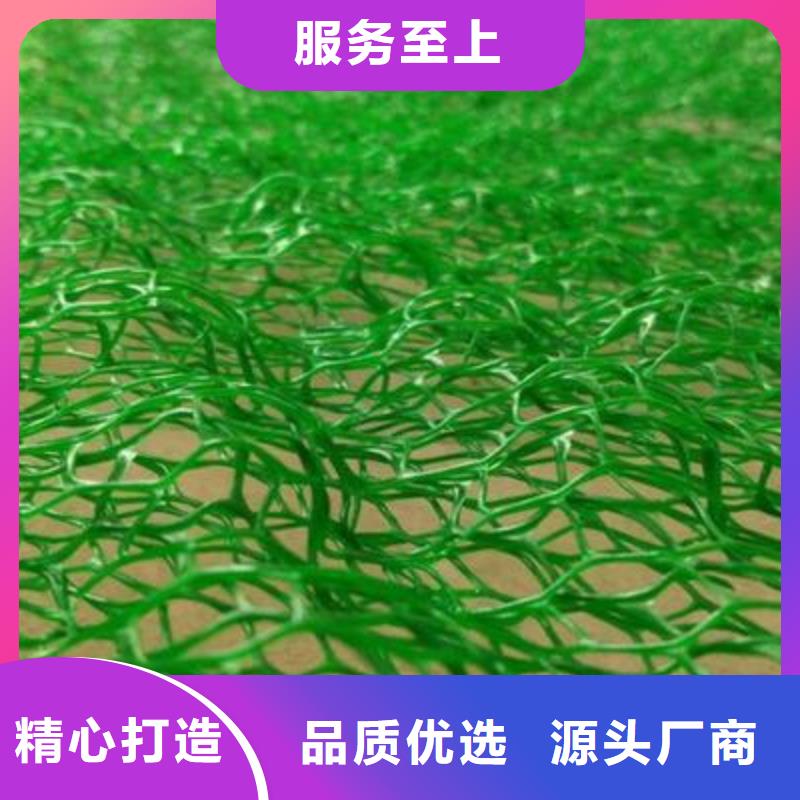 【三维植被网双向塑料格栅检验发货】