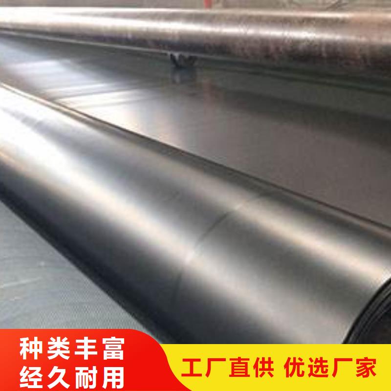 土工膜-凸结点钢塑土工格栅规格齐全实力厂家