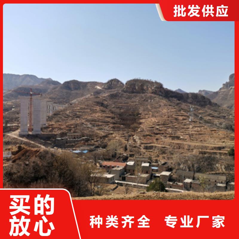 欧式箱变出租现货速发型号齐全
