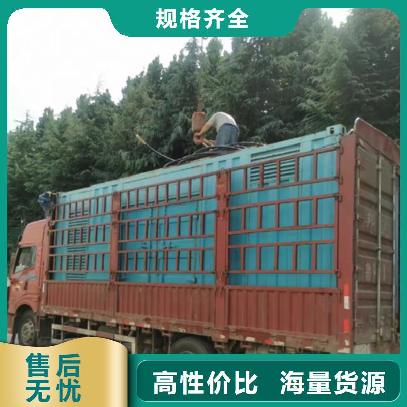 租赁变压器