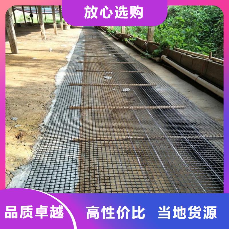 双向塑料土工格栅三维复合排水网源厂定制