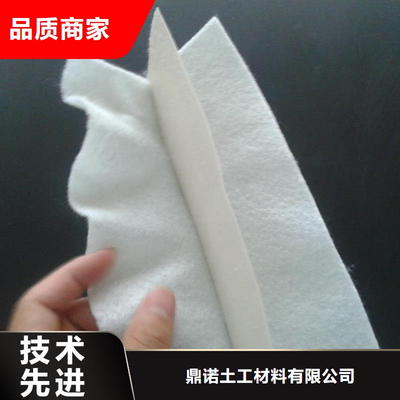 土工膜三维复合排水网全品类现货