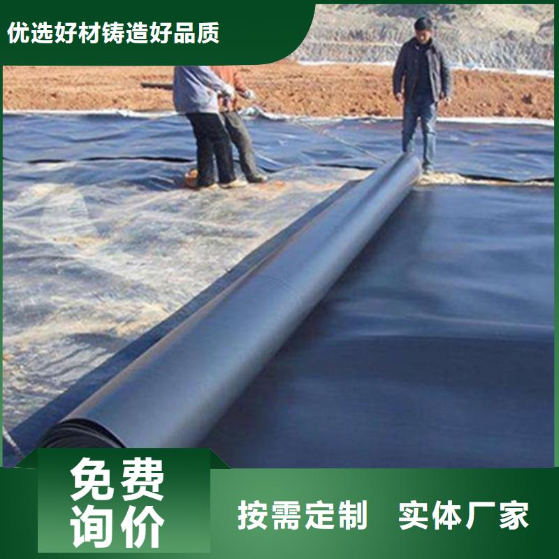 生产厂家(鼎诺)土工膜-钢塑土工格栅价格实惠工厂直供