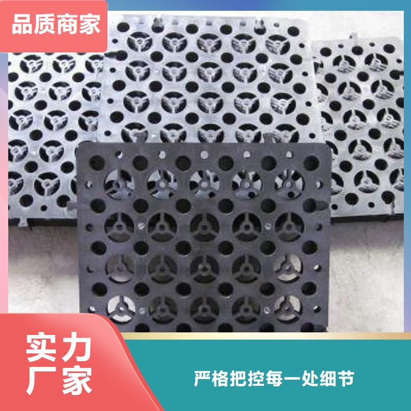 快捷的物流配送 蓄排水板 【三维复合排水网】用心细节-v651.com