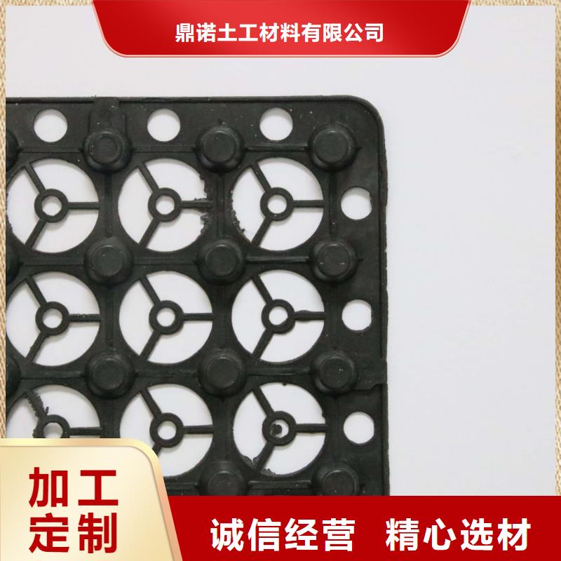 厂家案例【鼎诺】【蓄排水板】水土保护毯用心做产品