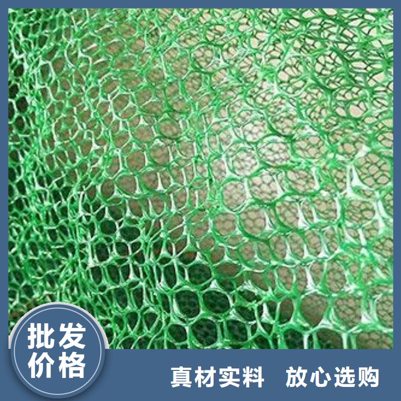 三维植被网三维复合排水网货品齐全