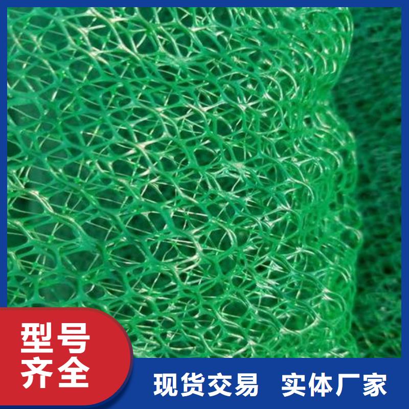 三维植被网,单向塑料土工格栅精工细作品质优良
