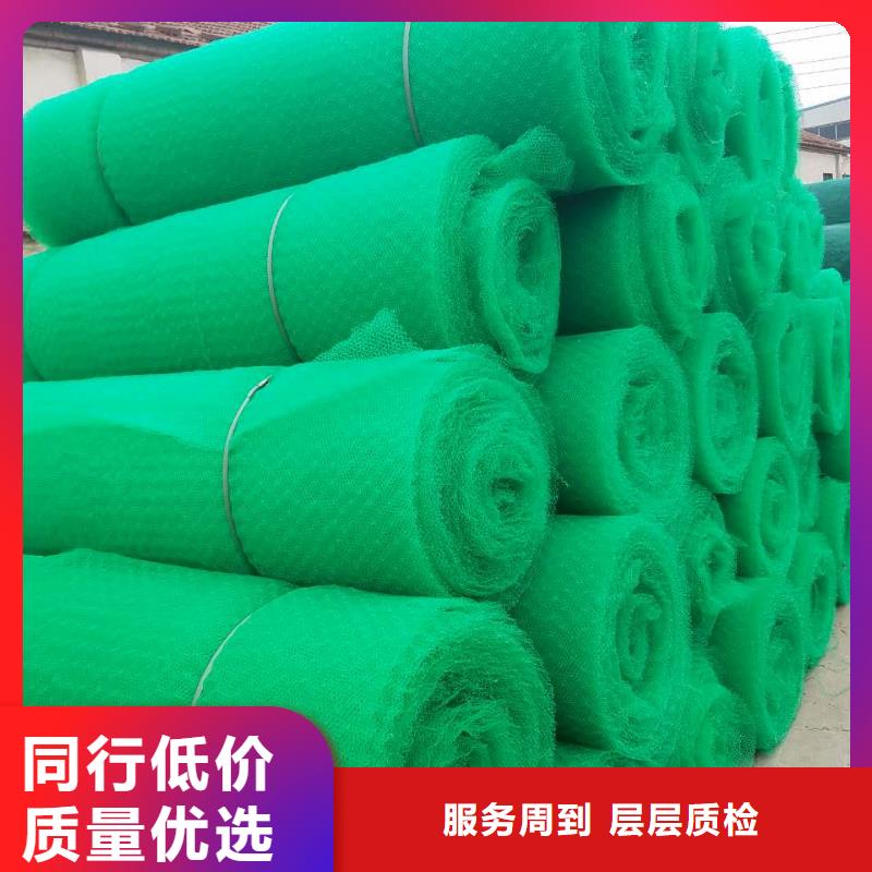 三维植被网_涤纶土工格栅专业供货品质管控