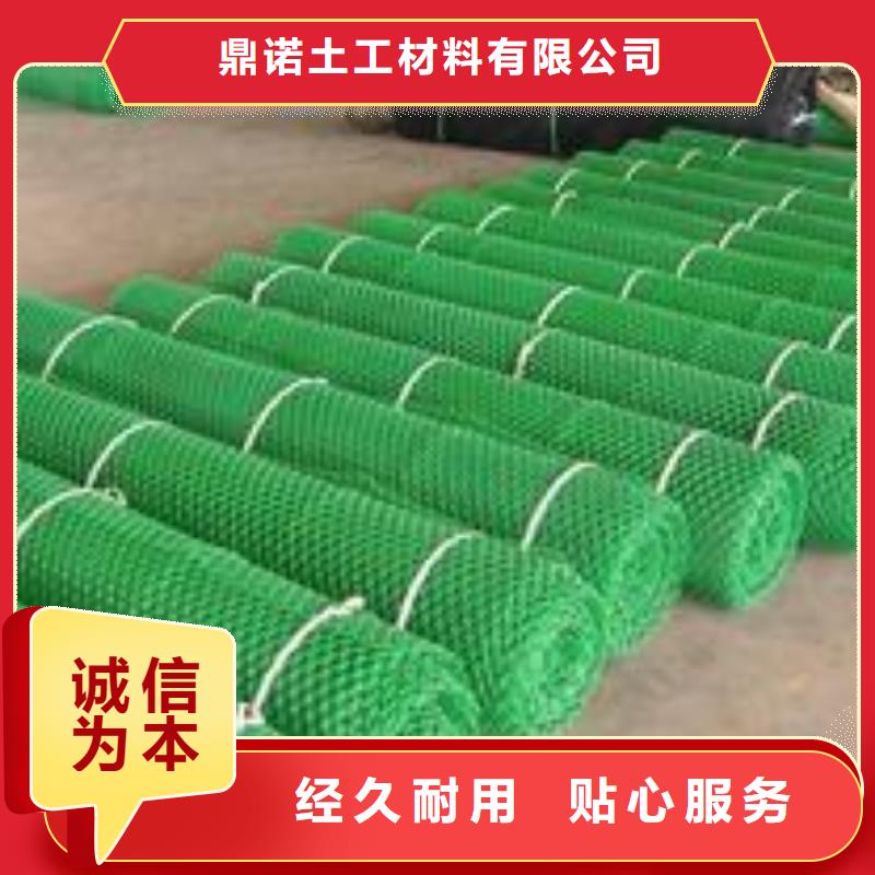 三维植被网膨润土防水垫好品质售后无忧