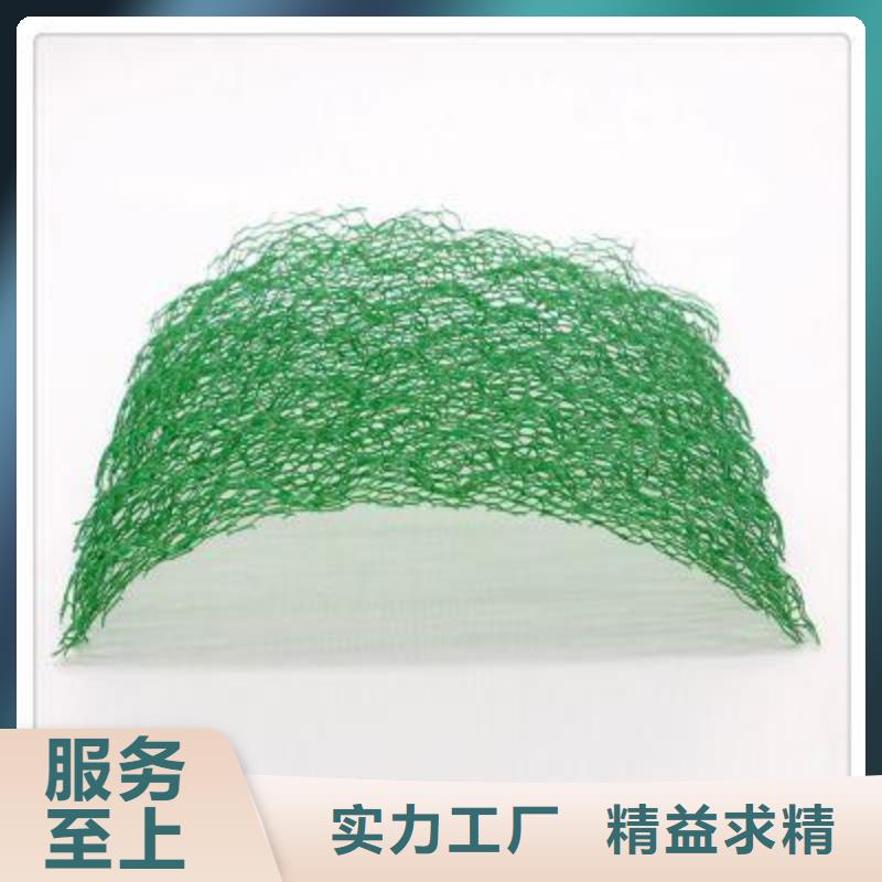 三维植被网三维复合排水网货品齐全