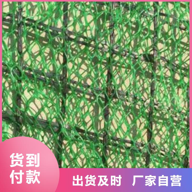 双向塑料土工格栅-视频-双向塑料土工格栅-鼎诺土工材料(无锡市分公司)服务区域滨湖|北塘|南通|盐城|常州|苏州|淮安
