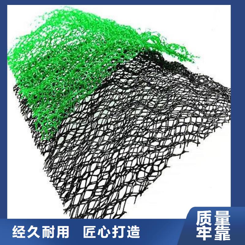 【三维植被网】土工格室货源报价