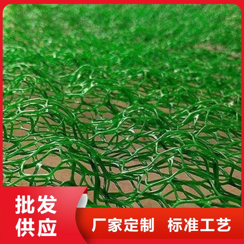 【三维植被网-土工格室供应商】