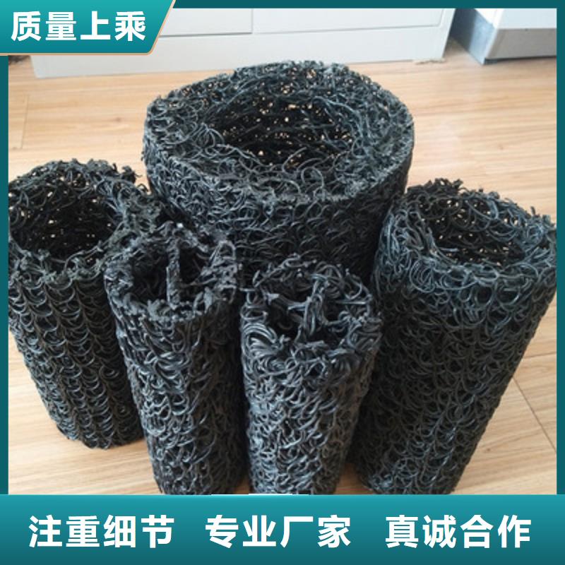 双向塑料土工格栅-视频-宁明|龙州|南宁|河池|贵港|桂林|防城港鼎诺双向塑料土工格栅_ 鼎诺土工材料(崇左市分公司)