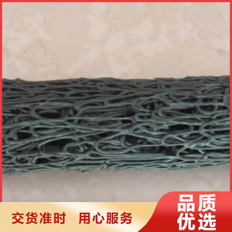 双向塑料土工格栅视频-双向塑料土工格栅_辽宁省辽阳市市场覆盖太子河|宏伟|葫芦岛|鞍山|沈阳|本溪等