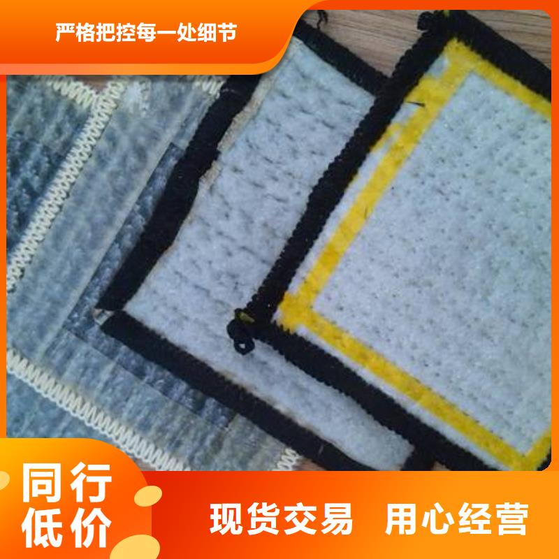 【膨润土防水毯】护坡土工网保障产品质量