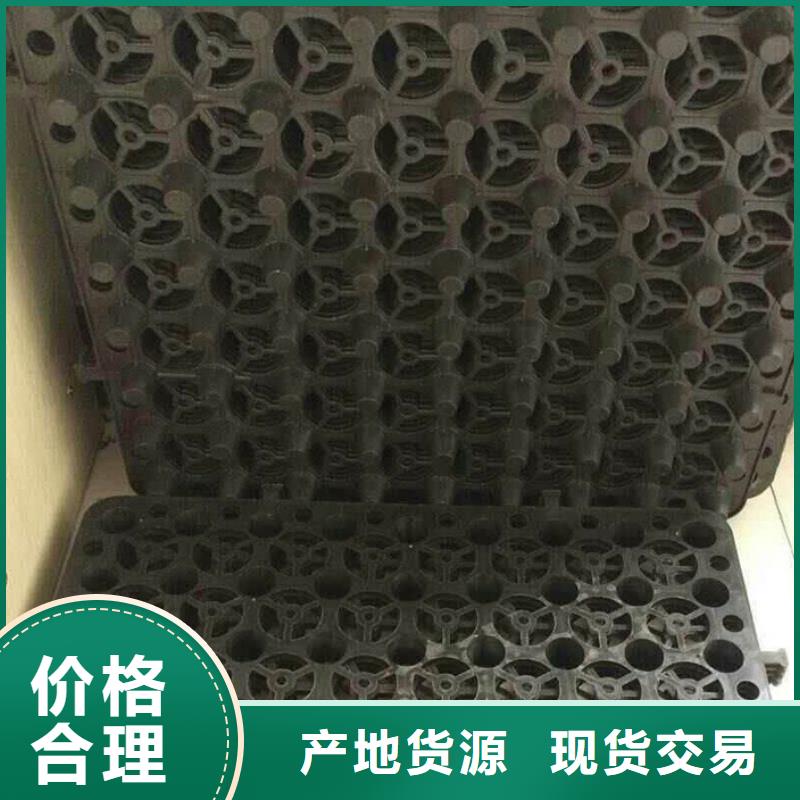 塑料排水板,玻纤土工格栅专注产品质量与服务