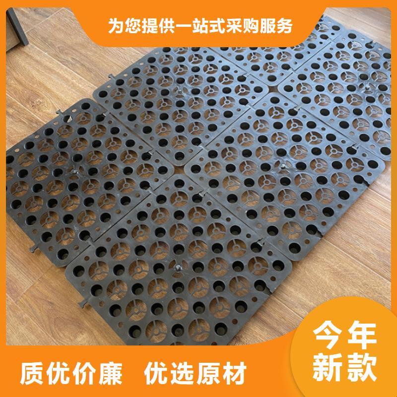 双向塑料土工格栅-视频-双向塑料土工格栅|株洲市|芦淞|攸县|长沙|永州|怀化|湘潭|邵阳
