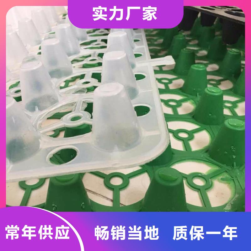 塑料排水板,玻纤土工格栅专注产品质量与服务