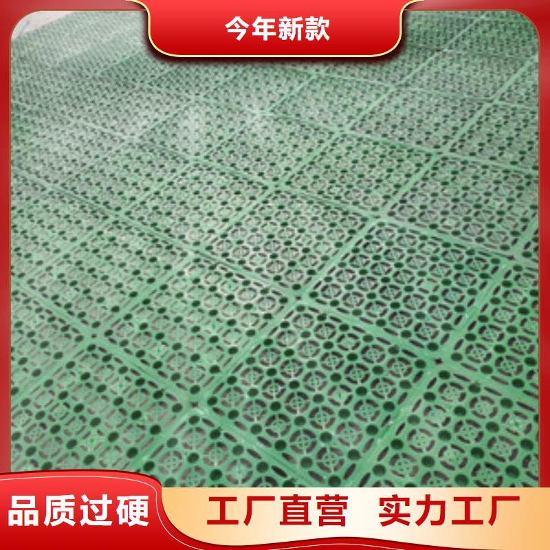 双向塑料土工格栅-视频-明溪|清流|南平|厦门|福州|泉州亿路通双向塑料土工格栅_ 亿路通新材料(三明市分公司)