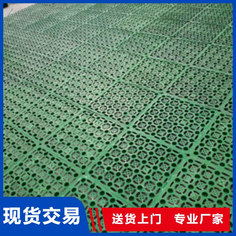双向塑料土工格栅-视频-双向塑料土工格栅|株洲市|芦淞|攸县|长沙|永州|怀化|湘潭|邵阳