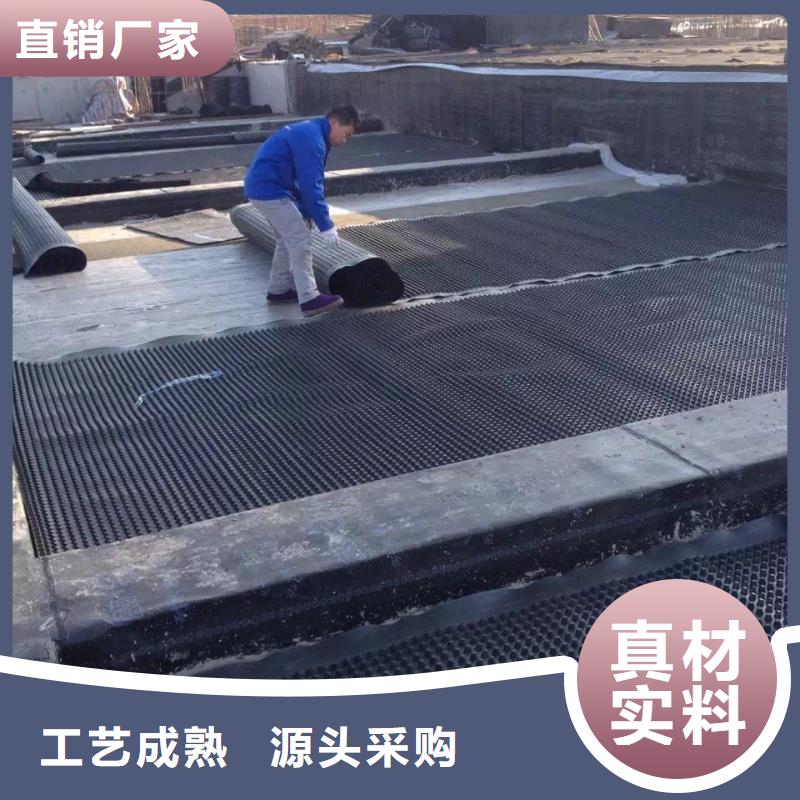 塑料排水板单向塑料土工格栅一手货源源头厂家