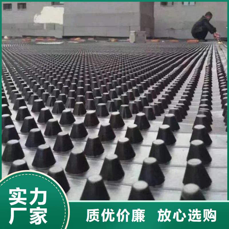 塑料排水板,玻纤土工格栅专注产品质量与服务