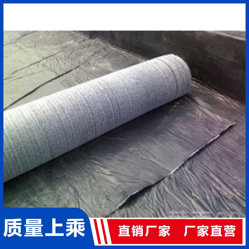 防水毯-钢塑土工格栅厂家优质货源