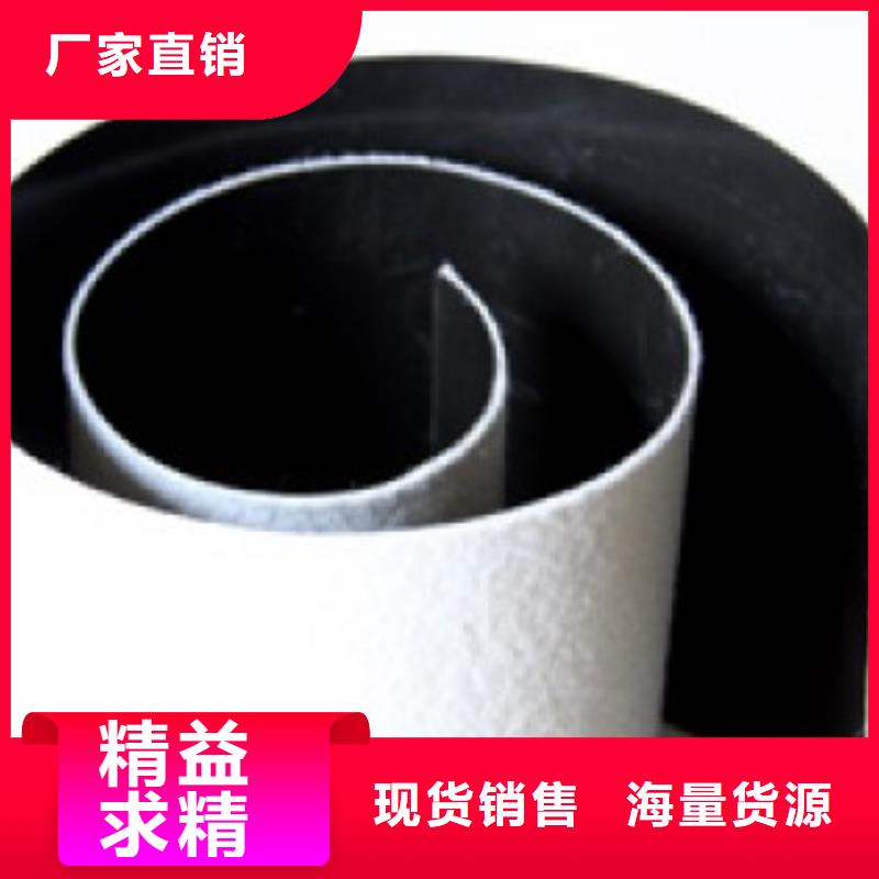 土工膜三维水土保护毯厂家直接面向客户