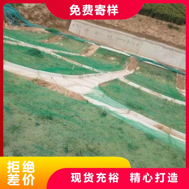 三维植被网双向塑料土工格栅厂家型号齐全