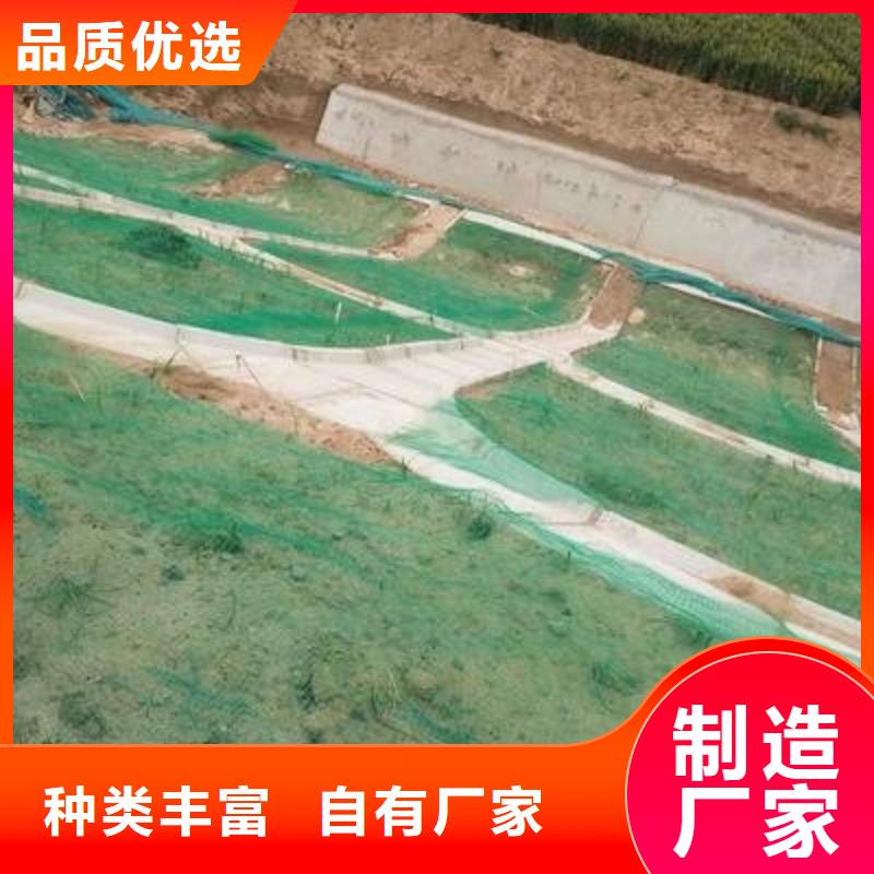 三维植被网【钢塑土工格栅厂家】好厂家有担当