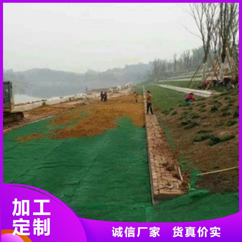 双向塑料土工格栅视频-双向塑料土工格栅_四川省绵阳市市场覆盖三台|安县|乐山|内江|资阳|广安等