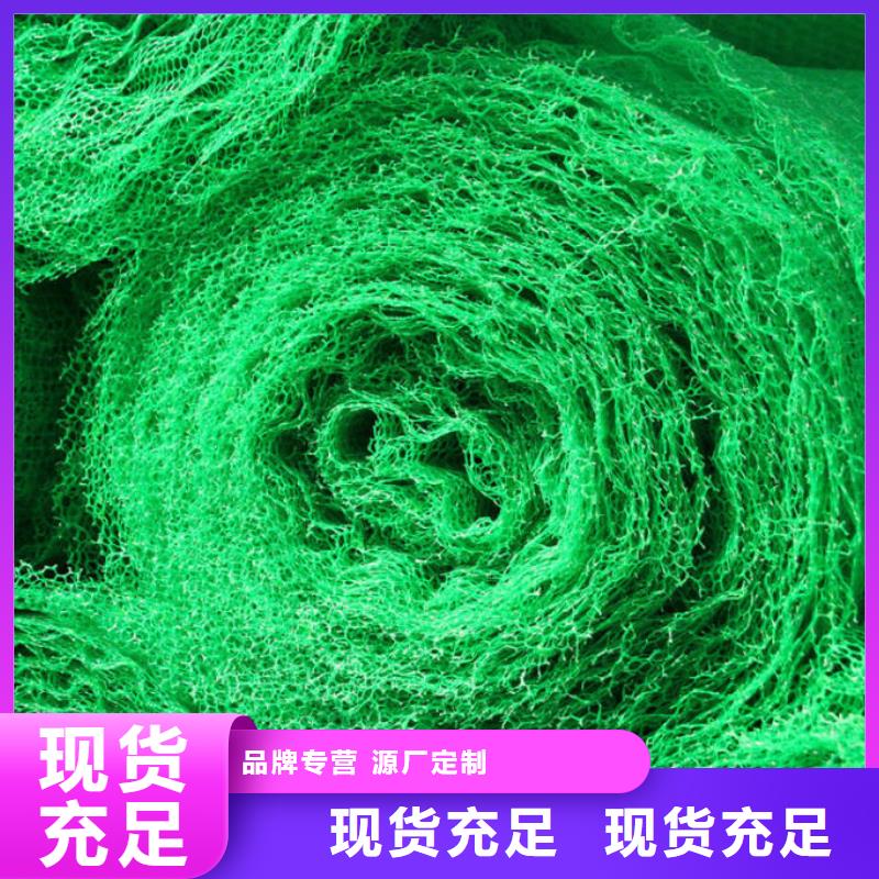 双向塑料土工格栅视频-双向塑料土工格栅_四川省绵阳市市场覆盖三台|安县|乐山|内江|资阳|广安等