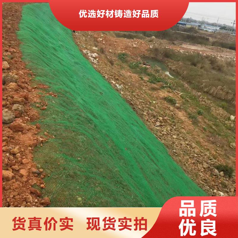 双向塑料土工格栅视频-双向塑料土工格栅_四川省绵阳市市场覆盖三台|安县|乐山|内江|资阳|广安等