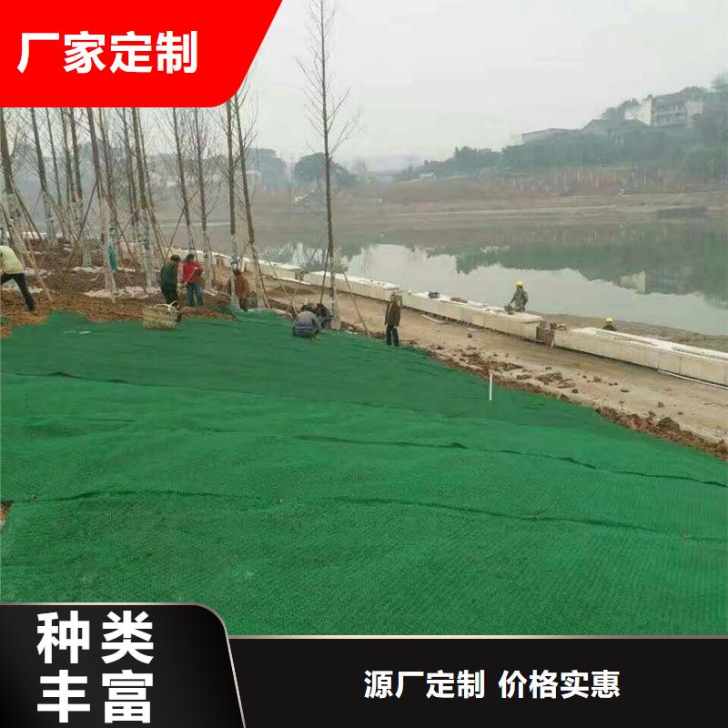 三维植被网长丝无纺土工布低价货源