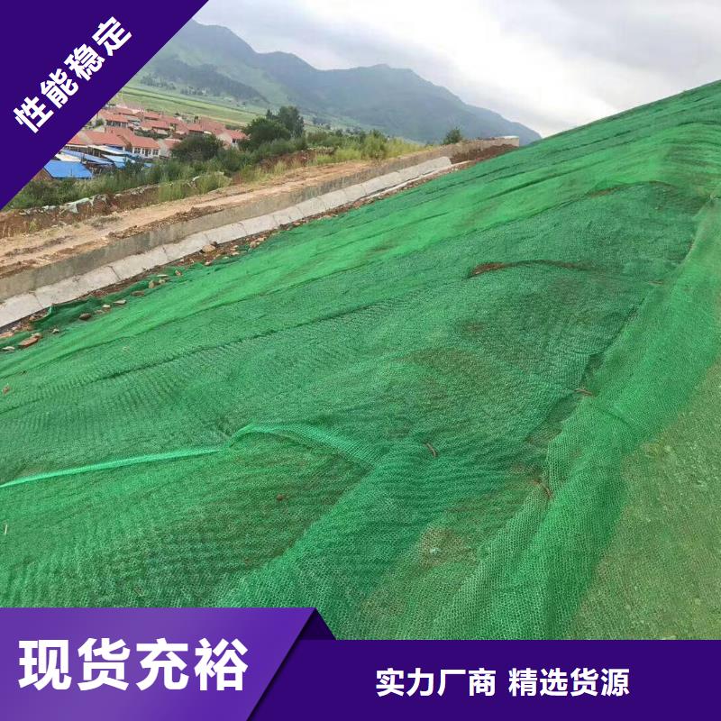 三维植被网,土工席垫价格实惠工厂直供