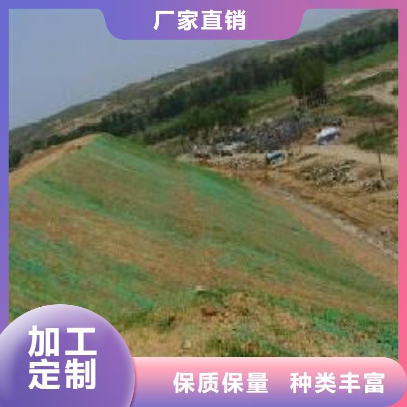 三维植被网长丝无纺土工布低价货源